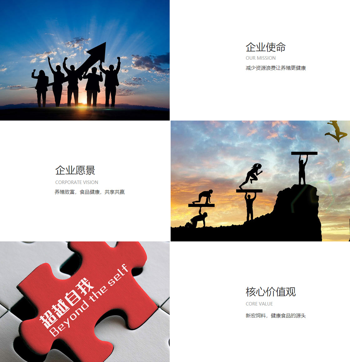 庄闲游戏官方网站(图1)